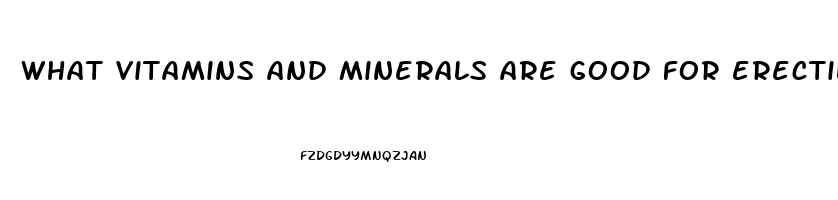 what vitamins and minerals are good for erectile dysfunction