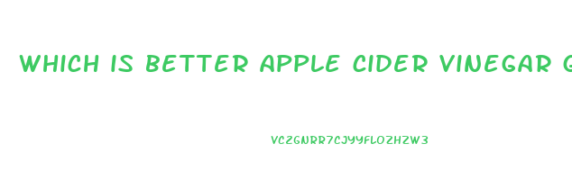 which is better apple cider vinegar gummies or liquid