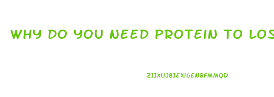 why do you need protein to lose weight