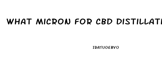 What Micron For Cbd Distillation