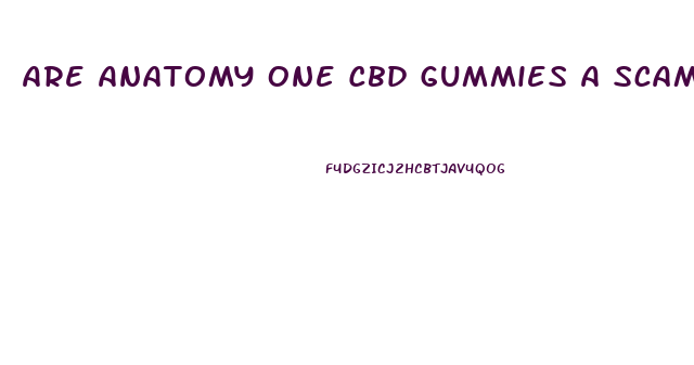 Are Anatomy One Cbd Gummies A Scam