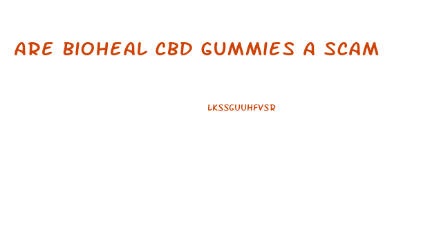 Are Bioheal Cbd Gummies A Scam