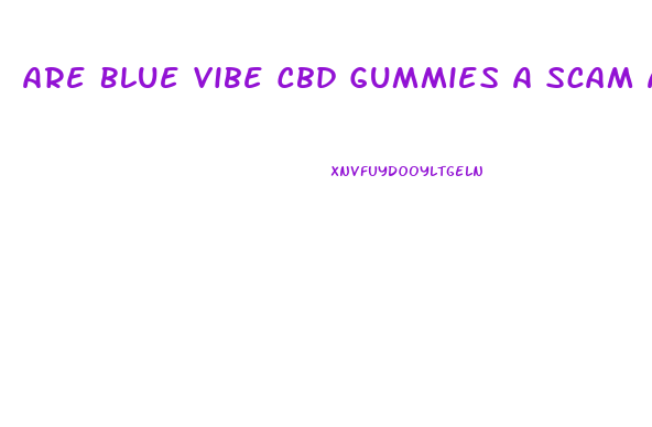 Are Blue Vibe Cbd Gummies A Scam Amazon
