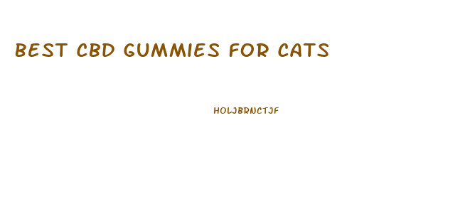 Best Cbd Gummies For Cats
