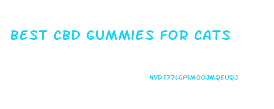 Best Cbd Gummies For Cats