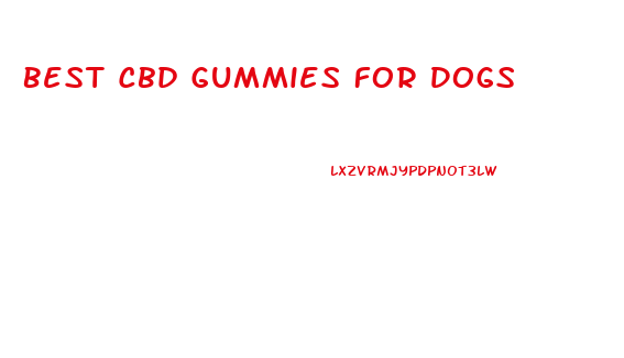 Best Cbd Gummies For Dogs