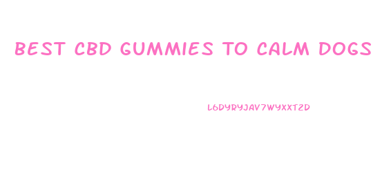 Best Cbd Gummies To Calm Dogs