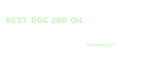 Best Dog Cbd Oil