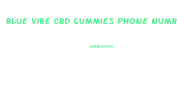 Blue Vibe Cbd Gummies Phone Number Customer Service