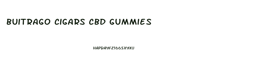 Buitrago Cigars Cbd Gummies