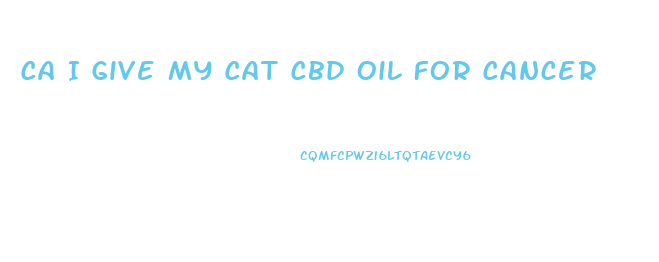 Ca I Give My Cat Cbd Oil For Cancer