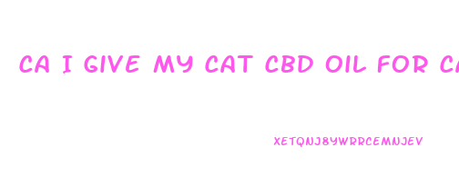 Ca I Give My Cat Cbd Oil For Cancer