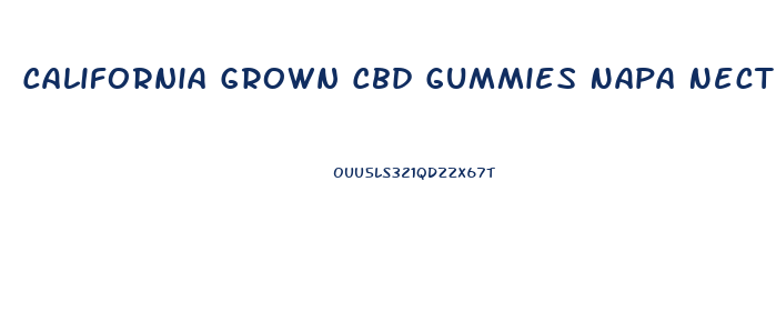 California Grown Cbd Gummies Napa Nectar