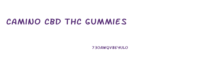 Camino Cbd Thc Gummies