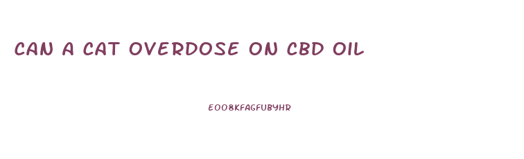 Can A Cat Overdose On Cbd Oil