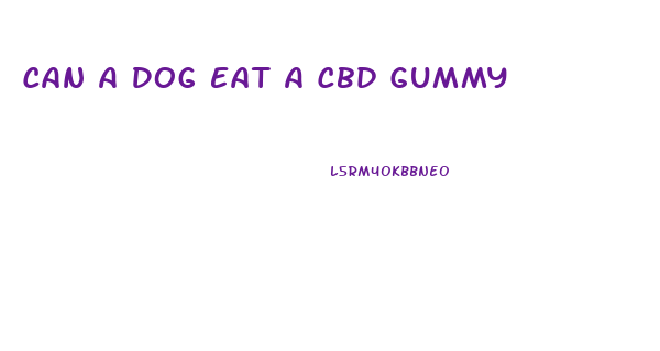 Can A Dog Eat A Cbd Gummy