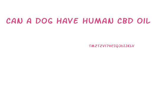 Can A Dog Have Human Cbd Oil