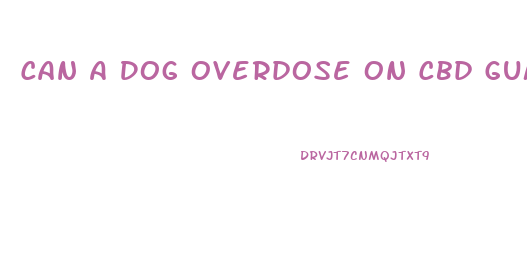 Can A Dog Overdose On Cbd Gummies