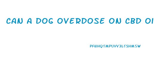 Can A Dog Overdose On Cbd Oil