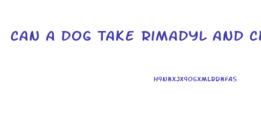 Can A Dog Take Rimadyl And Cbd Oil