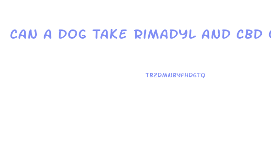 Can A Dog Take Rimadyl And Cbd Oil