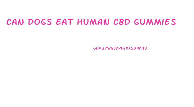 Can Dogs Eat Human Cbd Gummies