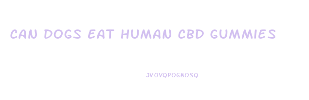 Can Dogs Eat Human Cbd Gummies