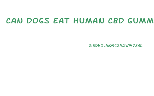 Can Dogs Eat Human Cbd Gummies