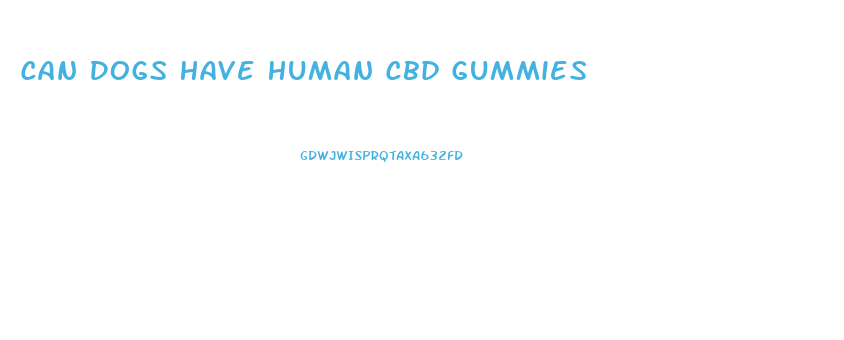 Can Dogs Have Human Cbd Gummies