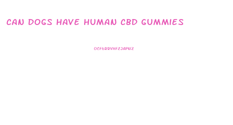 Can Dogs Have Human Cbd Gummies