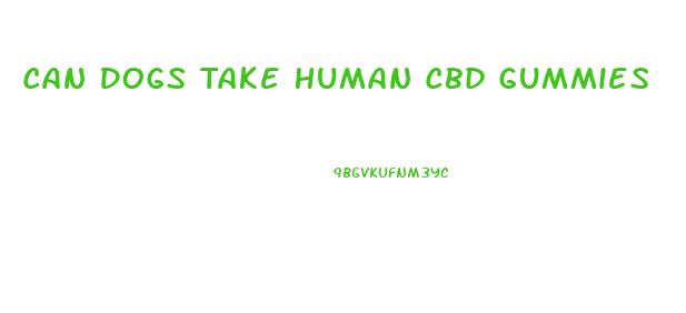 Can Dogs Take Human Cbd Gummies