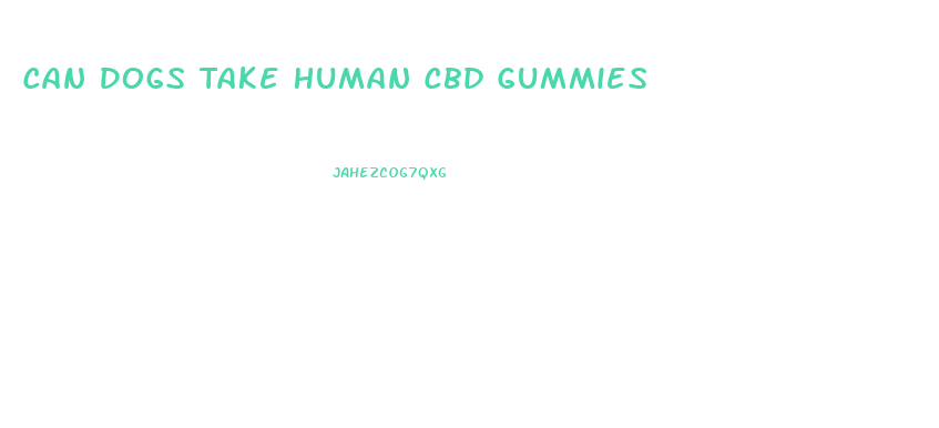 Can Dogs Take Human Cbd Gummies