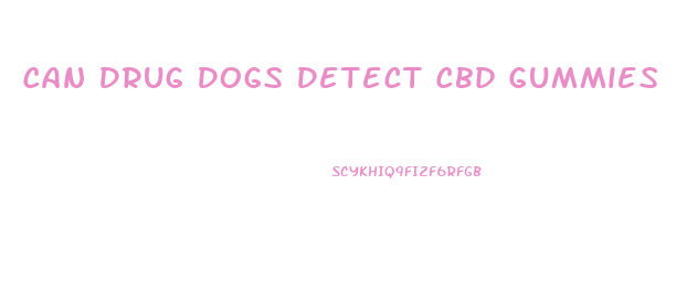 Can Drug Dogs Detect Cbd Gummies