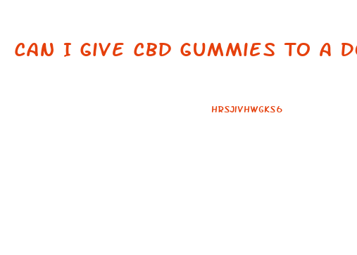 Can I Give Cbd Gummies To A Dog