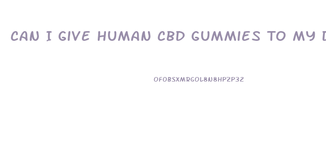 Can I Give Human Cbd Gummies To My Dog