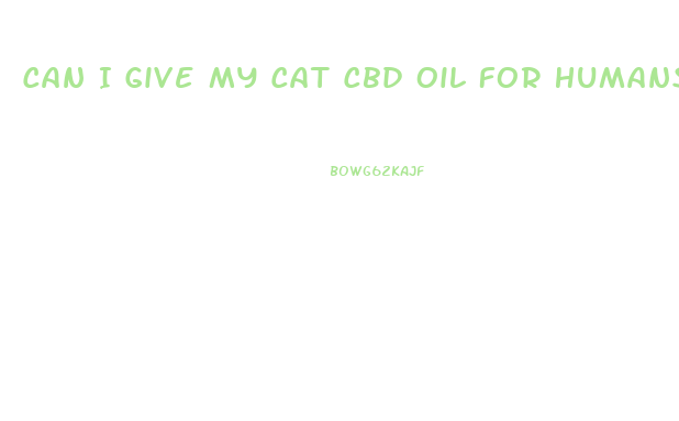 Can I Give My Cat Cbd Oil For Humans