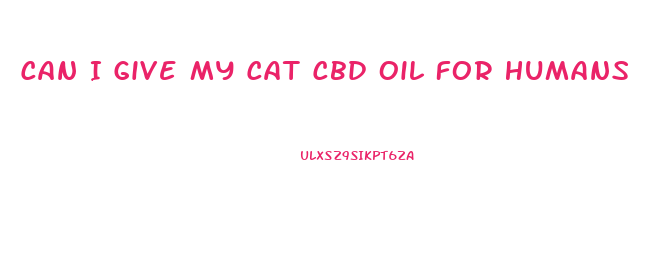 Can I Give My Cat Cbd Oil For Humans