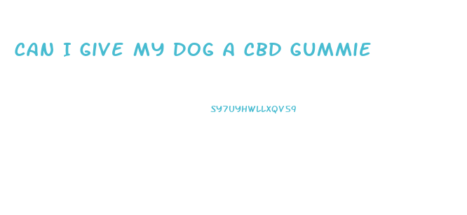 Can I Give My Dog A Cbd Gummie