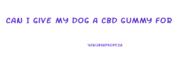 Can I Give My Dog A Cbd Gummy For Pain