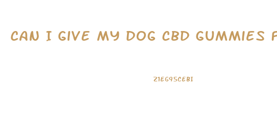 Can I Give My Dog Cbd Gummies For Anxiety