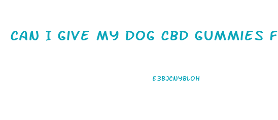 Can I Give My Dog Cbd Gummies For Anxiety