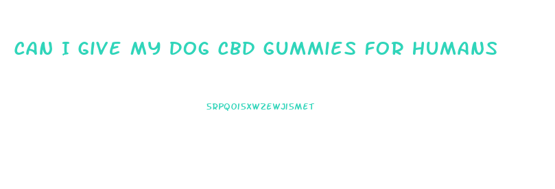 Can I Give My Dog Cbd Gummies For Humans