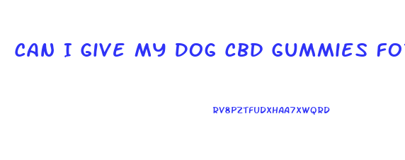 Can I Give My Dog Cbd Gummies For Humans