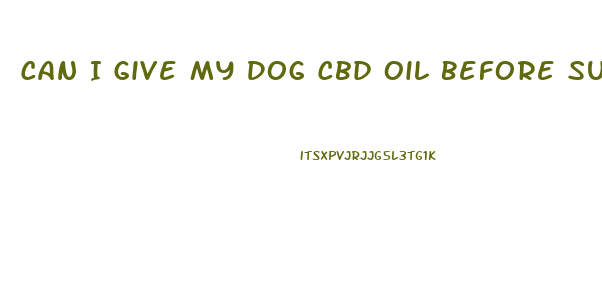 Can I Give My Dog Cbd Oil Before Surgery