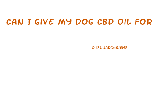 Can I Give My Dog Cbd Oil For Fireworks