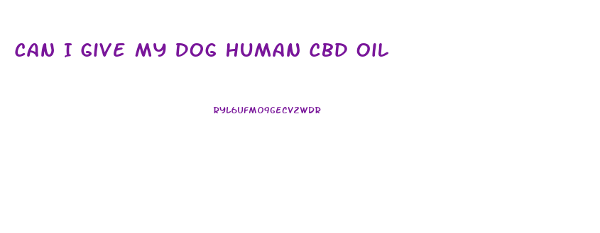 Can I Give My Dog Human Cbd Oil