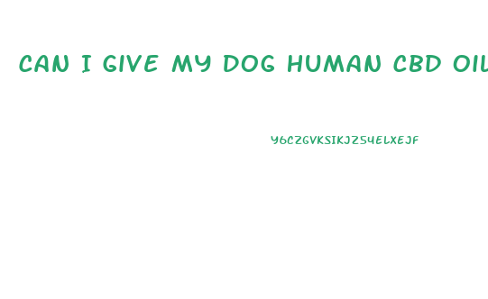 Can I Give My Dog Human Cbd Oil