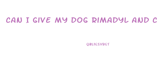 Can I Give My Dog Rimadyl And Cbd Oil