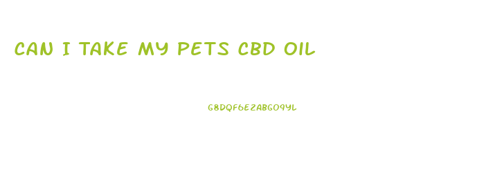 Can I Take My Pets Cbd Oil