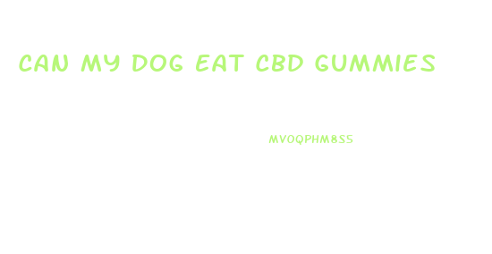 Can My Dog Eat Cbd Gummies